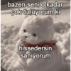 Kocama 7