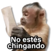 Memes Changuitos🐒 7