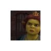 Memes Shrek 😎 9