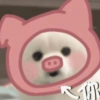 Dog 14