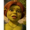 Memes Shrek 😎 13