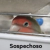 Sospechoso