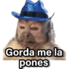 Memes Changuitos🐒 15