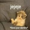MEMES XD 23