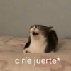 MEMES XD 25