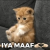 IYA MAAF