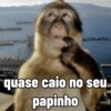quase caio no seu papinho