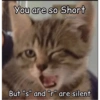 Catsarecute 22
