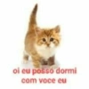 Gatinhos 17