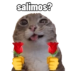 Michis caóticos ⚡😼⚡ 16