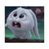 Snowball 🐇 14