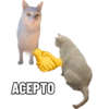 Michis caóticos ⚡😼⚡ 12