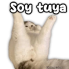 Soy tuya