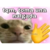 tqm, toma una nalgada wkawaliposting