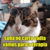 Chicória Maria #2 12
