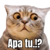 Apa tu!?