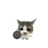 Kucing lucu 13