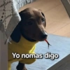Yo nomas digo