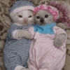 Gatitos de amor 💕🐱 11