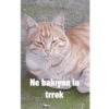 Ne bakıyon la trrek