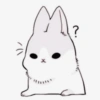 ꮺ﹗ bunny⠀㣴㐆 11