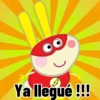 Ya llegué !!!