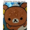 TENSION GOVUM SAHII