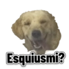 Perritos 14