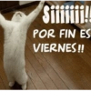 Viernes y el cuerpo lo sabe 😎 14