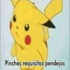 Pinches requisitos pendejos