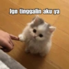 Kucing Galau 6