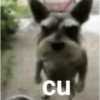 cu