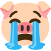 Emoji iPhone Pig 🐷 8