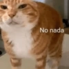 Memes 3.0🫆🧿 13