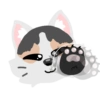 Pack de gatita graciosa 2 12