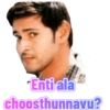 Telugu Hero, Heroines Stickers 23