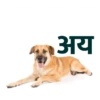 Marathi Meme 8