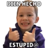 Gavin 23
