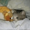 Meme triste 20