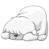 Cute dog 8