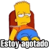 Los Simpson 16