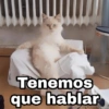 Tenemos que hablar Harley Stickers