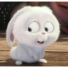 Snowball Rabbit 2 19