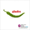 Marathi Fun 6