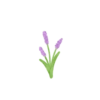 Nature Soft 12