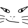 My cat 10