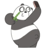 Panda (Reacciones) 14