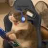VERTAGEAR