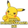 Pikachu 13