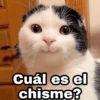 Cuál es el chisme? @Harley Stickers